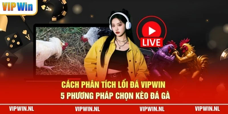 Cách Phân Tích Lối Đá VIPWIN