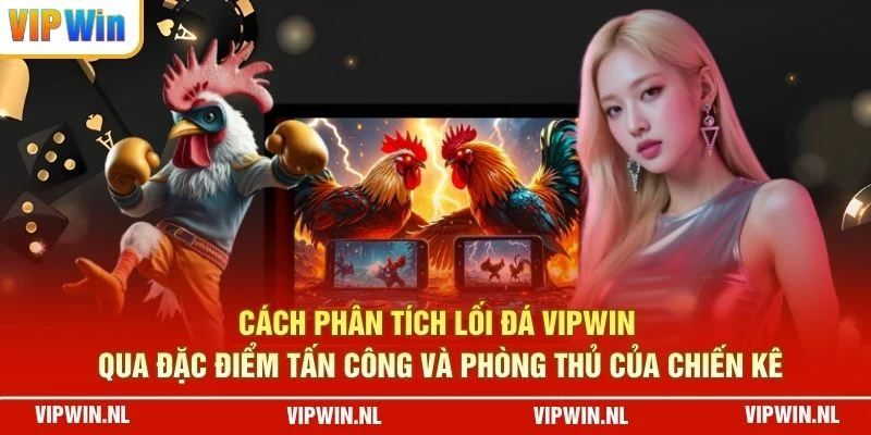 Cách phân tích lối đá VIPWIN qua đặc điểm tấn công và phòng thủ của chiến kê