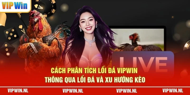 Cách phân tích lối đá VIPWIN thông qua lối đá và xu hướng kèo