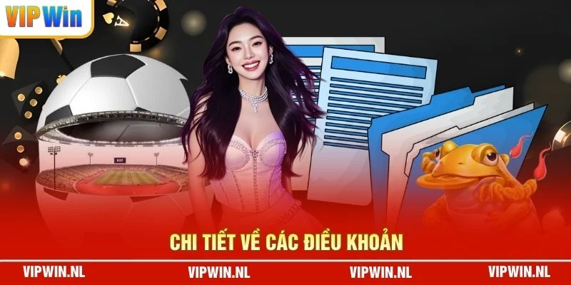Chi tiết về các điều khoản