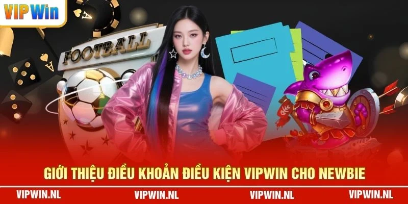 Giới thiệu điều khoản điều kiện VIPWIN cho newbie