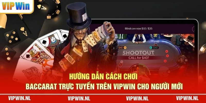 Hướng dẫn cách chơi baccarat trực tuyến trên VIPWIN cho người mới