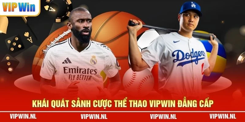 Khái quát sảnh cược thể thao VIPWIN đẳng cấp