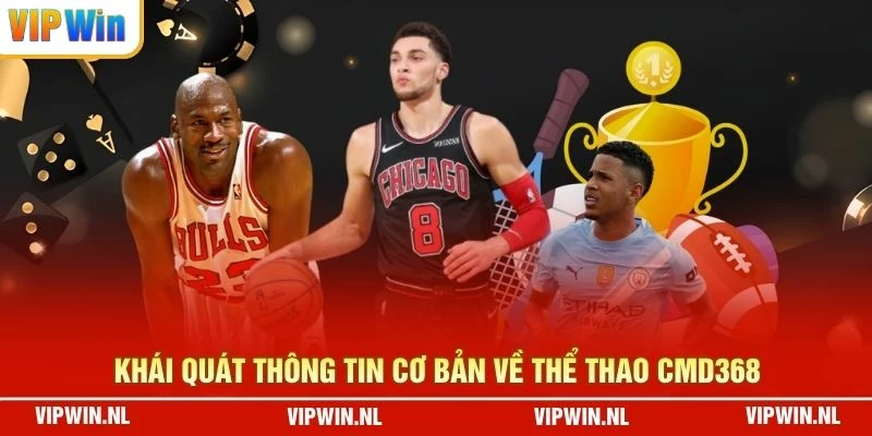 Khái quát thông tin cơ bản về Thể Thao CMD368