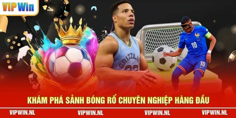 Khám phá sảnh bóng rổ chuyên nghiệp hàng đầu