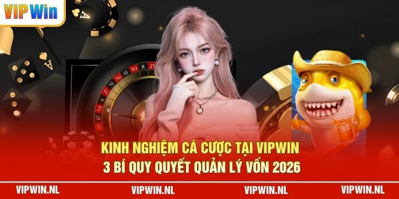 Kinh Nghiệm Cá Cược Tại VIPWIN