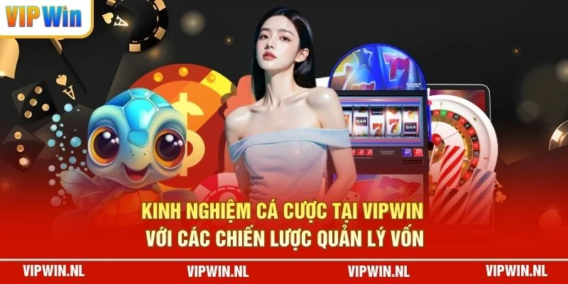 Kinh nghiệm cá cược tại VIPWIN với các chiến lược quản lý vốn