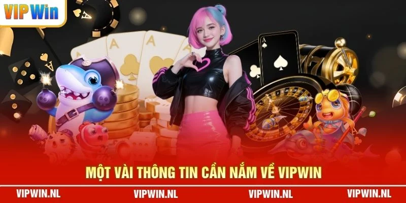 Một vài thông tin cần nắm về VIPWIN