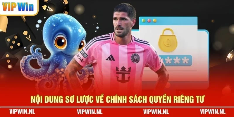 Nội dung sơ lược về chính sách quyền riêng tư
