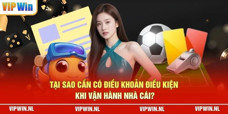 Tại sao cần có điều khoản điều kiện khi vận hành nhà cái?