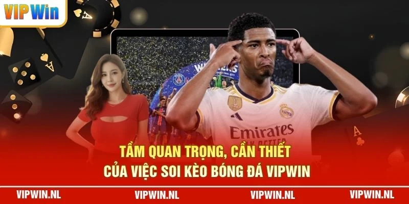 Tầm quan trọng, cần thiết của việc soi kèo bóng đá VIPWIN