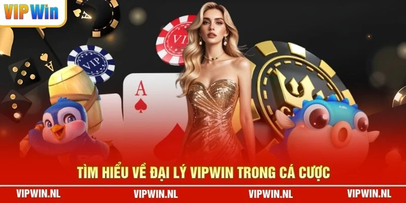 Tìm hiểu về đại lý VIPWIN trong cá cược